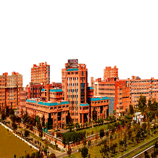 Pradeep Kumar Gupta,Chancellor Pradeep Kumar Gupta,Chancellor